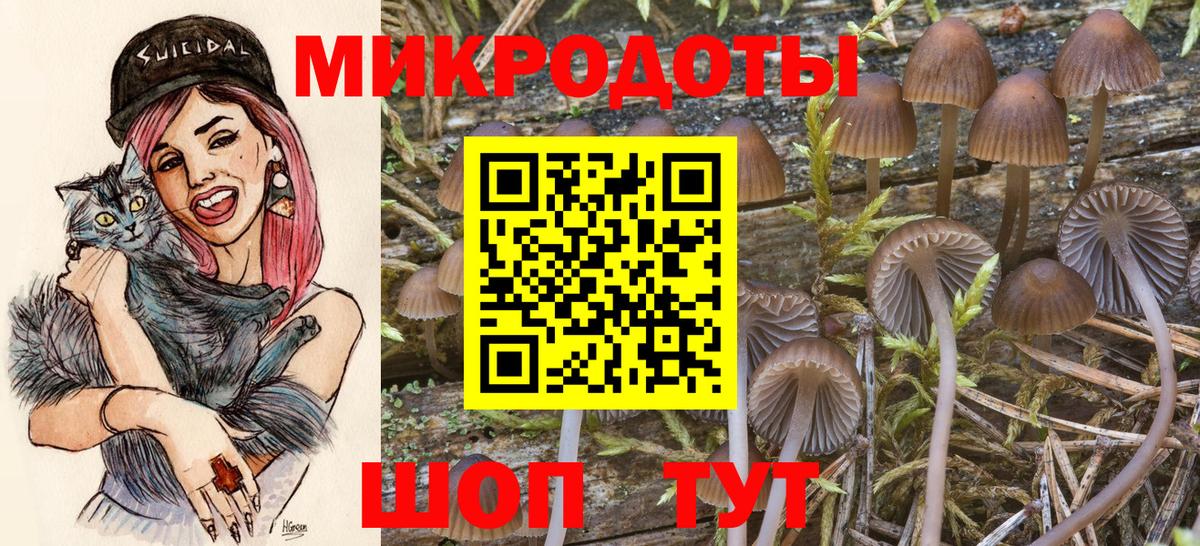 Галлюциногенные грибы GOLDEN TEACHER Оренбург
