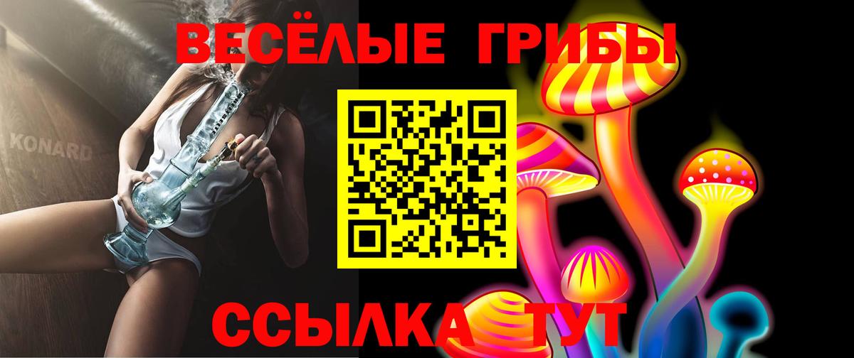 Галлюциногенные грибы Psilocybine cubensis  Вход с VPN  Оренбург 